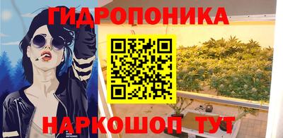 крисы Донской