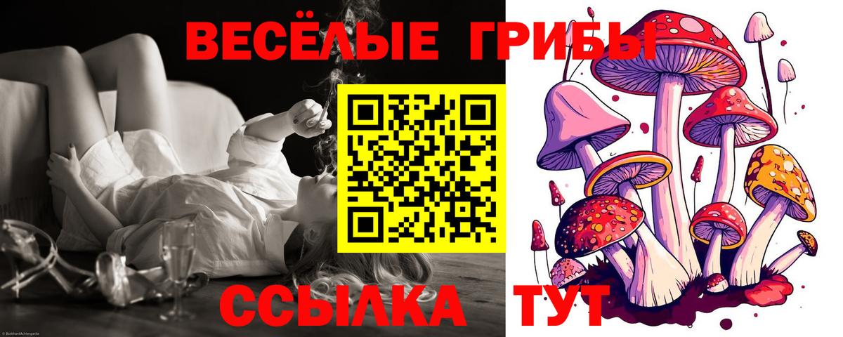 Галлюциногенные грибы GOLDEN TEACHER Малгобек